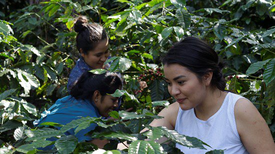 (P) Strauss Coffee ne invită la o ceașcă de cafea cu conștiință 4 femei care cultiva strauss coffee