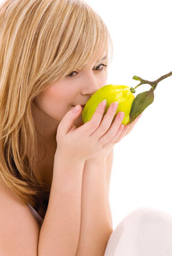 Indispensabila lamaie 3 lamaie