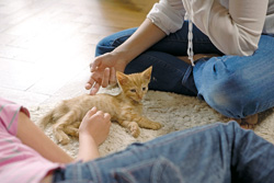 Celibatara, il caut pe Fat Frumos 3 femeie, singuratate