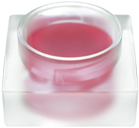 Luciu BIO de buze Sante