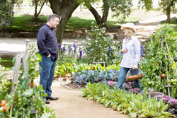 E tare complicat!, It's complicated, Meryl Streep, Alec Baldwin