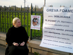 Greva foamei pentru adoptarea legii privind obligativitatea sterilizarii cainilor 4 Prof. Anca Hertea, protest