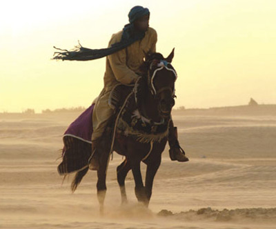 Istoria romantata a unui safari - Fragment 3 Istoria romantata a unui safari, Daniela Zeca Buzura, Editura Polirom