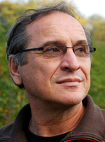 Ioan Mihai Cochinescu, scriitor