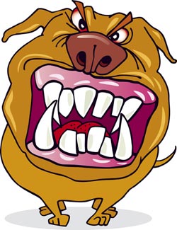 Mecanisemle agresivitatii 3 agresiv