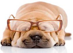 Clara de Cotnari - din volumul ”Zece povestiri multilateral dezvoltate" 3 ochelari