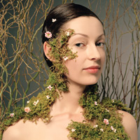 Plantele, sursa mitica de bine corporal 2 plante medicinale