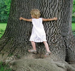 Cum putem sa traim mai ecologic 3 mediu, ecologie