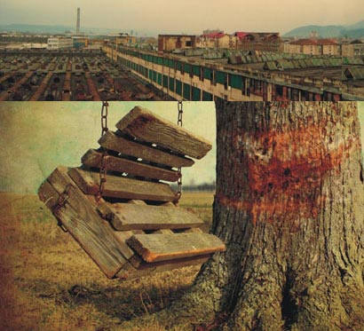 Scotch, Ioana Bradea, Editura Polirom