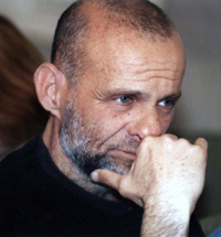 Radu Aldulescu, scriitor