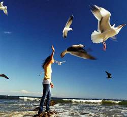 1456854.200172028 006