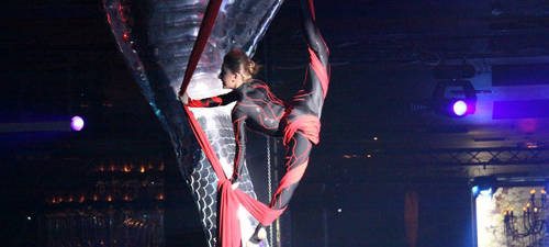 Compania de teatru - dans 2012