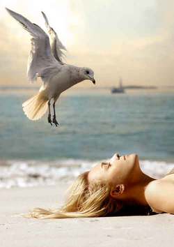 Dosar: Linistea ta interioara - Cai de linistire 3 1509634.shutterstock 40706824