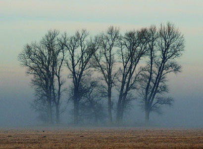Noaptea cind cineva a murit pentru tine - Fragment 3 Noaptea cind cineva a murit pentru tine, Bogdan Suceava, Editura Polirom