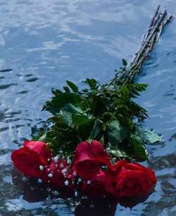 Cum sa alinam doliul cuiva 3 1520754.p buna