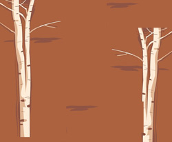 Ritmuri de imblinzit aricioaica, doina Ioanid, Editura Cartea Romaneasca