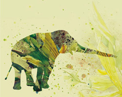 Dulcea poveste a tristului elefant - Fragment din roman 3 Dulcea poveste a tristului elefant, Diana Adamek, Editura Cartea Romaneasca