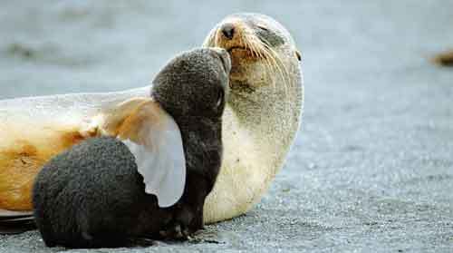 Care sunt beneficiile tandretii? 3 1563174.p1