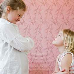 1568214.frati surori