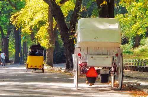 1614235.shutterstock 45693964