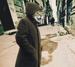 Patru barbati plus Aurelius - Fragment din roman 3 Patru barbati plus Aurelius, Doina Rusti, Editura Polirom