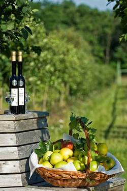 1660415.erlebnis obstgarten mit obstkorb