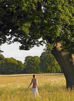 Viata noastra interioara 3 1679655.p1