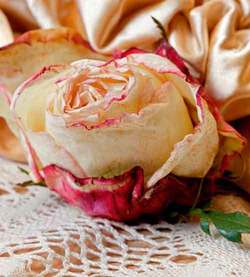 Sa acceptam timpul doliului 3 1736155.p2