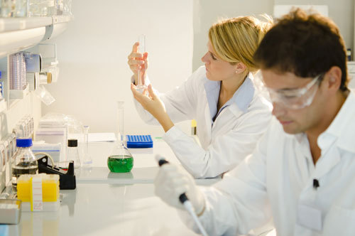 Cryo Stem Health - partener Cryo-Save, lanseaza in Romania programul de stocare gratuita a celulelor stem recoltate la nastere din cordonul ombilical 3 1746938.shutterstock 88497694