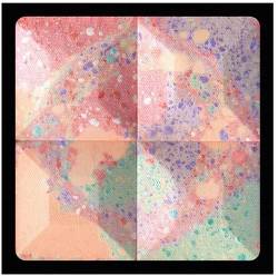 Pudra compacta Bucolic Blossoms de la Givenchy 3 1769027.100474 03 givenchy prisme visage