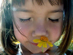 A ajunge vs. A fi 3 1788851.the moment