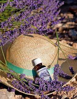 O istorie a cosmeticelor bio 3 2116279.lavanda palarie esenta