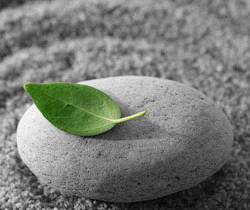 Dincolo de cuvinte - beneficiile tacerii 3 2117981.meditation leaf