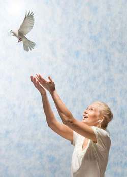 2118543.porumbel libertate