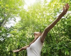 2126330.femeie padure