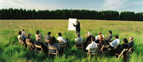 2126395.sedinta pajiste