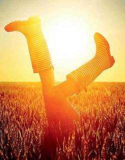 2126404.lan grau soare