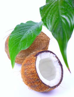 minte si corp, sanatate, lapte, lapte vegetal, lapte de cocos, cocos, nuci de cocos