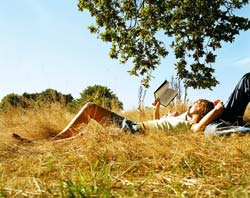 fericire, nefericire, decizie, decizii