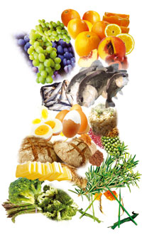 Stilul de viata anticancer 4 Meniul anticancer