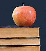 Agenda psy februarie 2009 2 Agenda psy februarie 2009