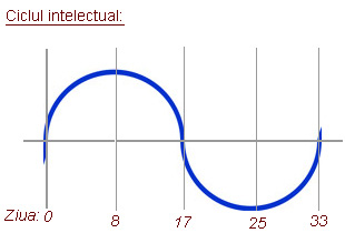 Bioritm, ciclul intelectual