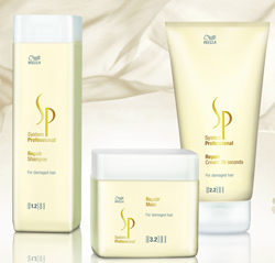 System Professional, Repair Line