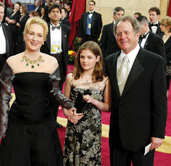 Meryl Streep, Don Gummer