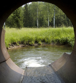 Detergentii cresc rezistenta bacteriilor 2 ape menajere, canalizare