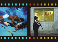 Cartea si filmul la Polirom 2 colectia Cinema, editura Polirom