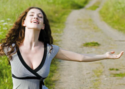 914913.shutterstock 15334630