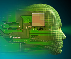 Creier, autoprogramare