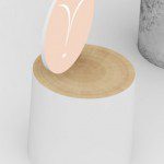 ELement Proiect NU MA UITA 2