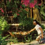 Orion Healing Center centre pentru detoxifiere din Thailanda